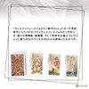 Visconti Tarot Mini Visconti Tarot Mini [Oldest Tarot] [Tarot Divination