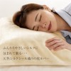 Alphax AP-439202 Pillowcase, Height 17.7 x Width 25.6 inches (45