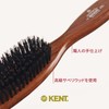 GB Kent narousutairu Hair Brush LR6
