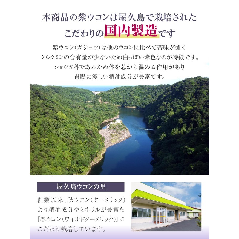 屋久島 紫ウコン(ガジュツ) 300粒