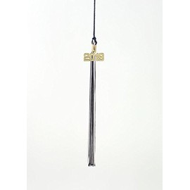 Tassel Depot 2019 Navy/White Graduation Tassel - Every School Color Available - Made in USA