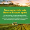 Natural Factors - Turmeric & Bromelain 450mg, Superior Standardized Extracts,