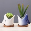 SJBAG Ceramic Animal Shark Shaped Flower Pot - Unique and