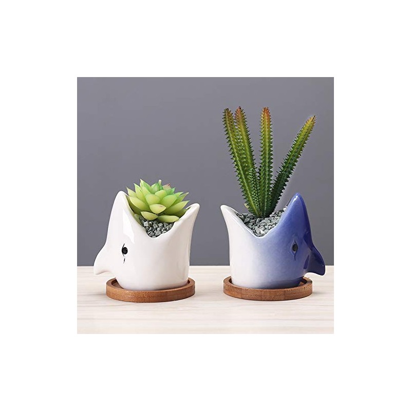 SJBAG Ceramic Animal Shark Shaped Flower Pot - Unique and