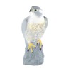 Bird Repeller Fake Eagles Bird Repellent for Garden Balcony Prevent
