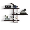PHOENANCEE 3 Tier Wall Shelves,Decorative Floating Shelf for Wall,Plants Photo
