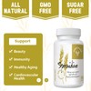 Fermented Wheat Germ Extract - 13 mg spermidine per Capsule