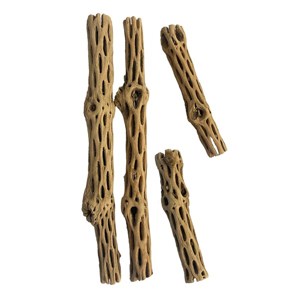 Awesome Aquatic Natural Cholla Choya Wood Combo 4 Pieces 2-12" & 2-6” Habitat for Shrimp Hermit Crabs Plecos Reptiles Aquarium Driftwood Decoration Lowers pH Hideouts and Food Treat Chew Toy Organic