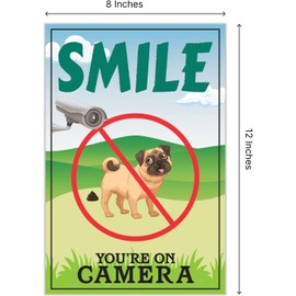 Pack of 3 Funny Smile You're On Camera Yard Signs with Stakes - 8"x 12" Double-Sided Warning Signs for Home Business - Video Surveillance Signs - Security Camera Signs for Property Indoor or Outdoor