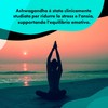 Nature Diet Ashwagandha High Strength PLUS, 125 mg Estratto