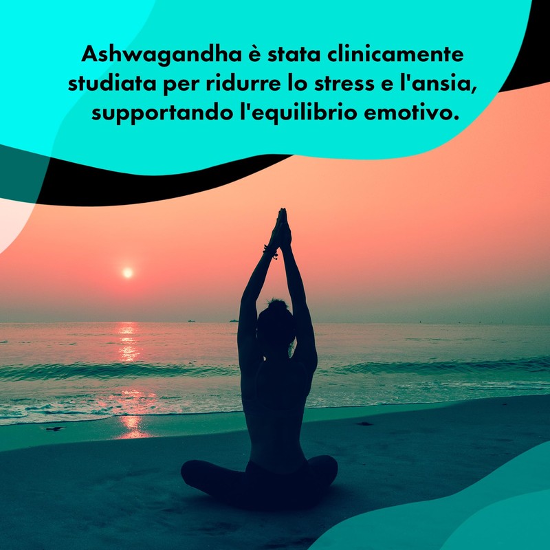 Nature Diet Ashwagandha High Strength PLUS, 125 mg Estratto
