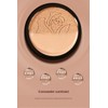 Cushion Foundation Long-lasting Moisturizing Natural Finish Foundation