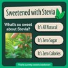 Zevia Zero Sugar Tea, Black Tea with Raspberry, 12 oz