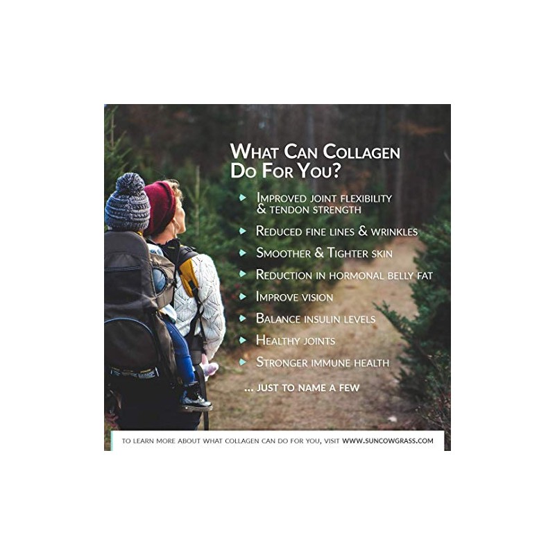 Bone Broth Collagen Powder - Pure Organic Protein (2LB /