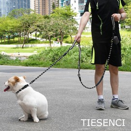 Tiesenci Heavy-Duty No-Pull Dog Leash – Shock-Absorbing Bungee & Tangle-Free Swivel with Reflective Stitches, Padded Handles & Poop Bag Holder for Medium & Large Dogs, Black