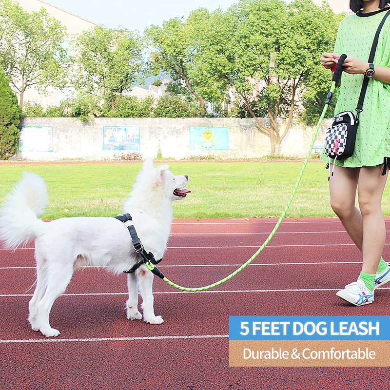 BAAPET 2/4/5/6 FT Dog Leash with Comfortable Padded Handle and