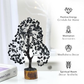 Black Tourmaline, Feng Shui Money Tree, Spiritual Gifts, Home Office Decor, Spiritual Gifts, Real Crystals, Reiki Supplies, Spiritual Room Decor, Crystal Décor, Abundance Stones and Crystals