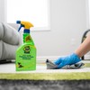 Zep Home Pro Foaming Pet Stain Eliminator - 24 Fl.