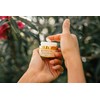 Honey Girl Organics Facial Scrub, Moisturizing & Exfoliating, Fights Acne,