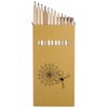 Azeeda 12 x 'Spider's Web' Long 178mm Coloured Pencils/Pencil Set