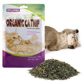 NZLOMXU Organic 100% Natural Catnip Cattle Grass Mint Taste Funny Cat Toy New Cat Toy Interactive Cat Toys Pet Supplies