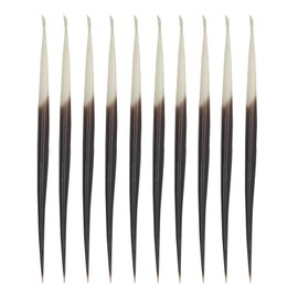 10PCS Porcupine Quills,Bird Quills,Crafts Accessories Fishing Buoy,DIY Sewing Project Kits