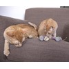 SmartyKat Skitter Critters Value Pack Catnip Cat Toys - Gray/Cream,