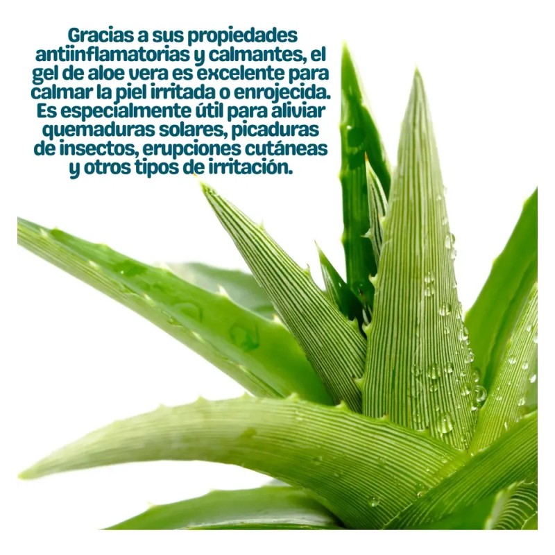 Aloe Vera 99% Gel Sábila Facial Piel Blanqueamiento 125ml F