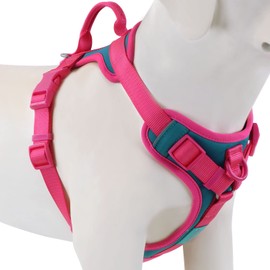 Wolfone No Pull Dog Harness Adjustable Soft Padded Pet Vest with Control Handle Adorable Daily Harness for Dogs（Viridian Green XL）