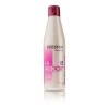 Salerm Hi Repair Shampoo 250ml + Mascarilla 250ml