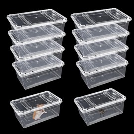 10 PCS Reptile Feeding Box, Isopod Enclosure Plastic Terrarium, Reptile Breeding Box for Bearded Gecko Dragon Lizard Spider Frog, Rreptile Carrier (Clear)
