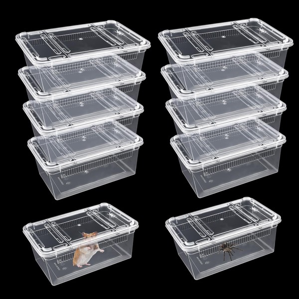 10 PCS Reptile Feeding Box, Isopod Enclosure Plastic Terrarium, Reptile
