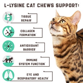 Lysine Cat Treats with Natural Vitamins & Trace Minerals - Daily Immune Support for Cats & Kittens That Eases Sneezing, Runny Nose, Watery Eyes - Promotes Respiratory Health, Normal Eye Function 135