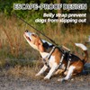 PUPTECK Escape Proof Dog Harness with Padded Handle, No Pull