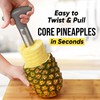Zulay Kitchen Pineapple Corer and Slicer Tool - Stainless Steel