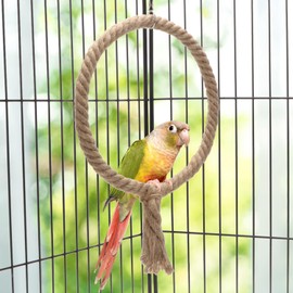 Bird Rope Swing Toy Parrot Climbing Perch Stand for Cockatiel Conure Cockatoo Parakeet Cage Hanging Decor (B: Round)