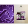 EN Lactobacillus Salivarius Probiotic | 90 High Strength Lactobacillus Salivarius