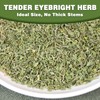 TEARELAE - Eyebright Herb - Pure Natural Eufrasia - Dried