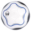 REGAIL Size 5 Soccer Ball Football Sport Ball Machine Stitched