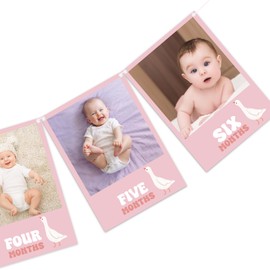 JarThenaAMCS Silly Goose Photo Banners Monthly Milestone Hanging Banner Newborn to 12 Months Picture Display Garland for Girl 1st Birthday Decor