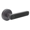 Smart Fingerprint Door Lock Security Biometric Door Knob Keyless Entry