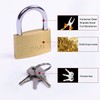 Solid Brass Padlock, 35mm, Hardened Steel Shackle, Solid Brass, Indoor