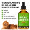 Golden Paw Dog Antibiotics with Chicken Flavor | Сat Antibiotics