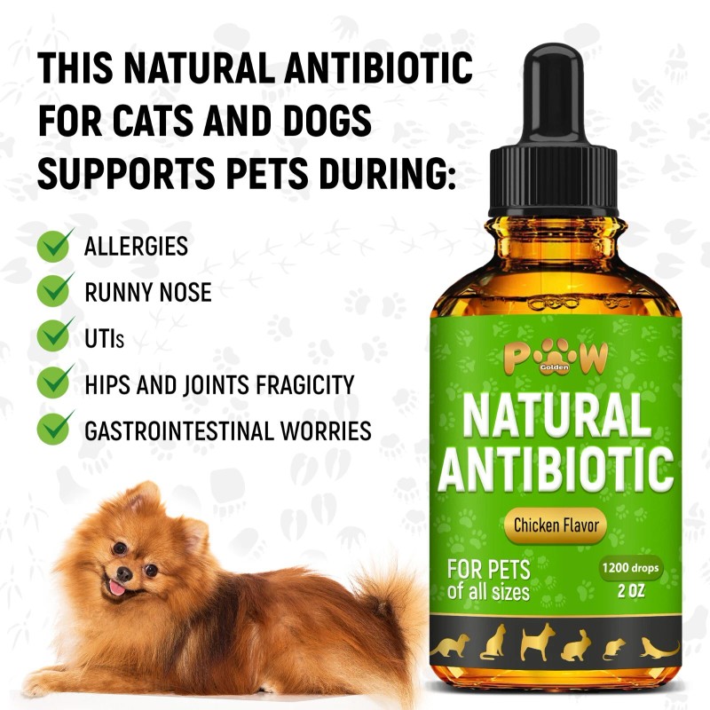 Golden Paw Dog Antibiotics with Chicken Flavor | Сat Antibiotics