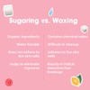Sugaring Paste Standard For All Body Parts - Bikini, Brazilian,