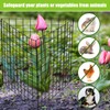 Zubebe 10 Pack Small Wire Plant Protectors Square Plant Protectors