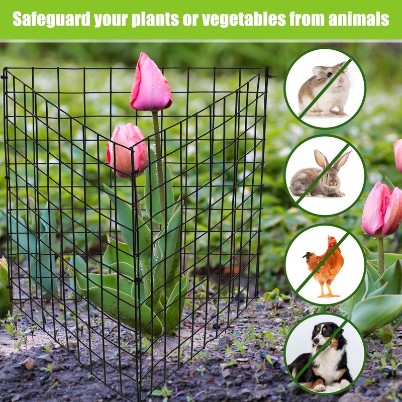 Zubebe 10 Pack Small Wire Plant Protectors Square Plant Protectors