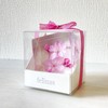 Felinas Cherry Blossom Herbarium "Kanzakura" Celebration Gift Mother's Day Present
