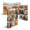 HERMA Ring Binder A4 Lion Slim 2 Rings 35mm Wide