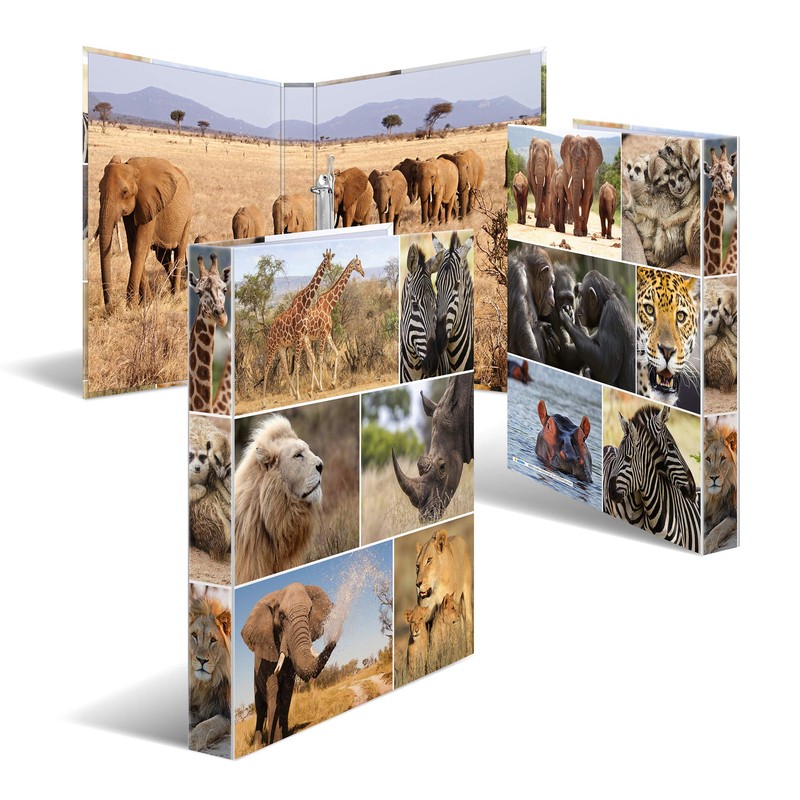 HERMA Ring Binder A4 Lion Slim 2 Rings 35mm Wide